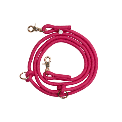 Pink dog leash with gold hardware on a white background