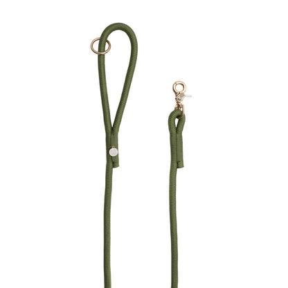 Green dog leash with gold clasp on a white background