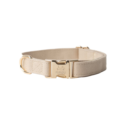 Beige dog collar with gold buckle on a white background