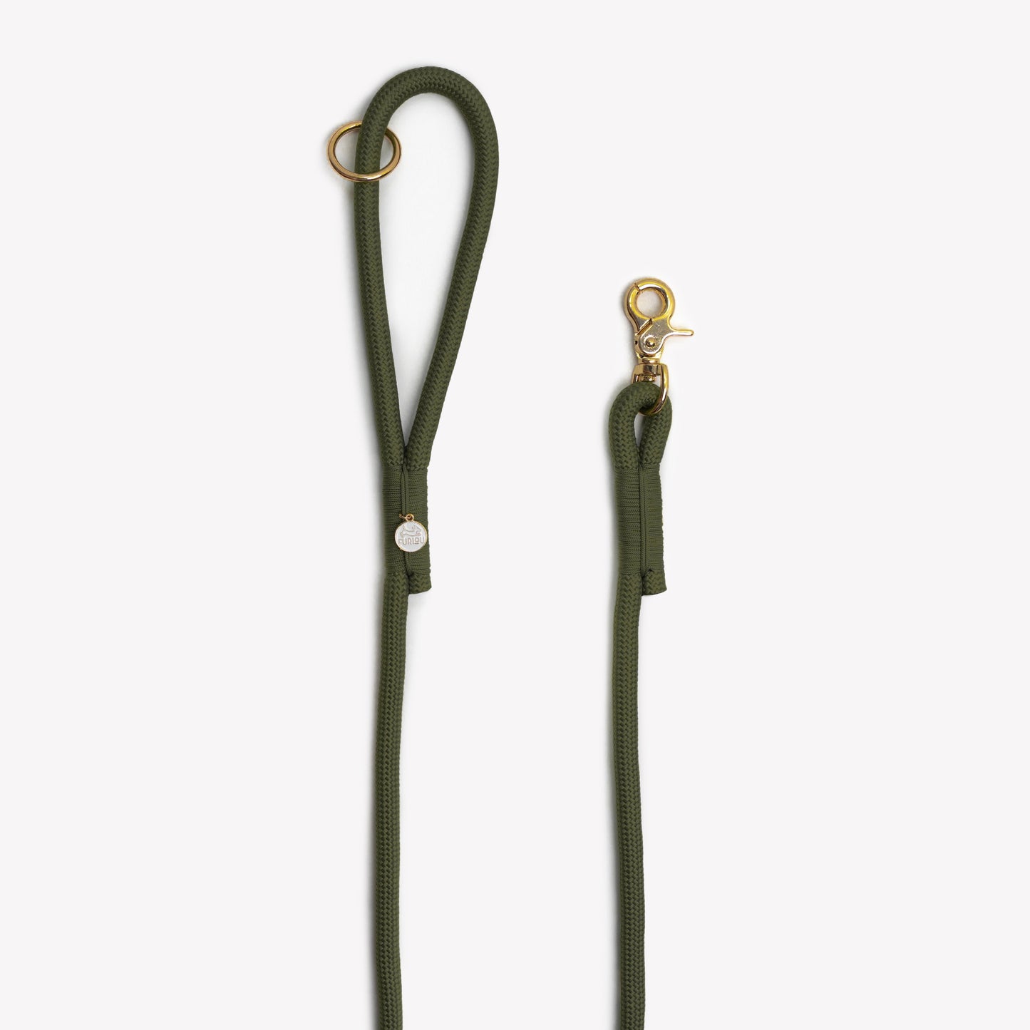 Green dog leash with gold clip on a white background