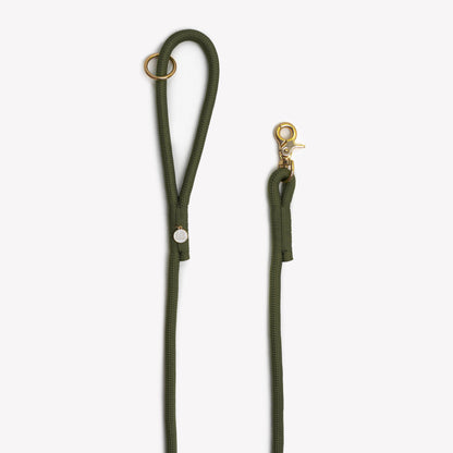 Green dog leash with gold clip on a white background