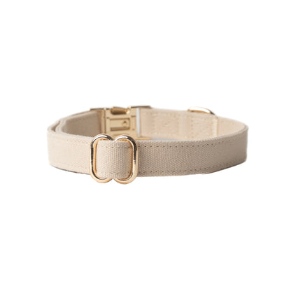 Beige dog collar with a gold buckle on a white background