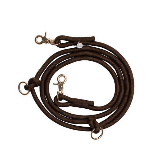 Brown dog leash with gold hardware on a white background