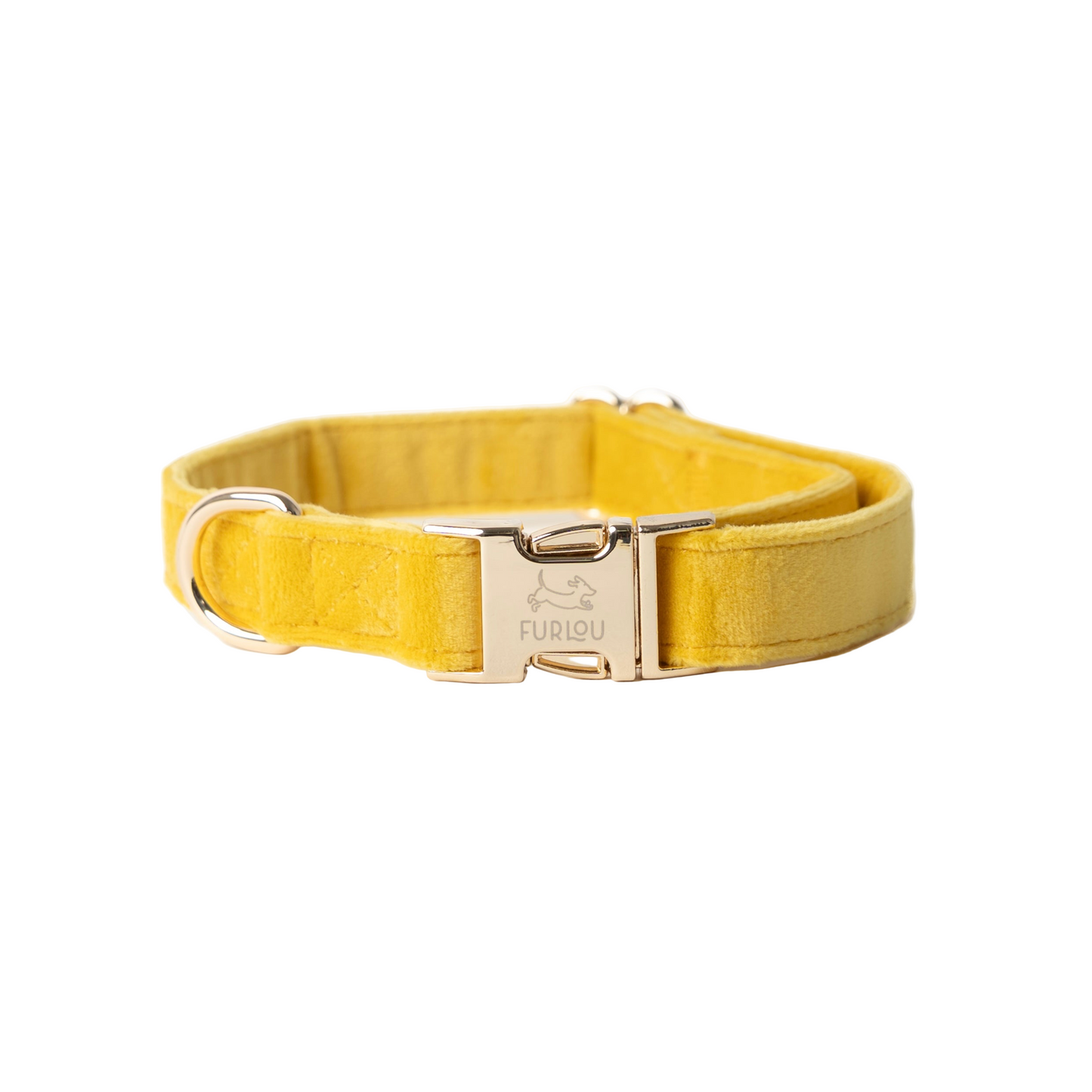 Yellow dog collar with a gold buckle on a white background
