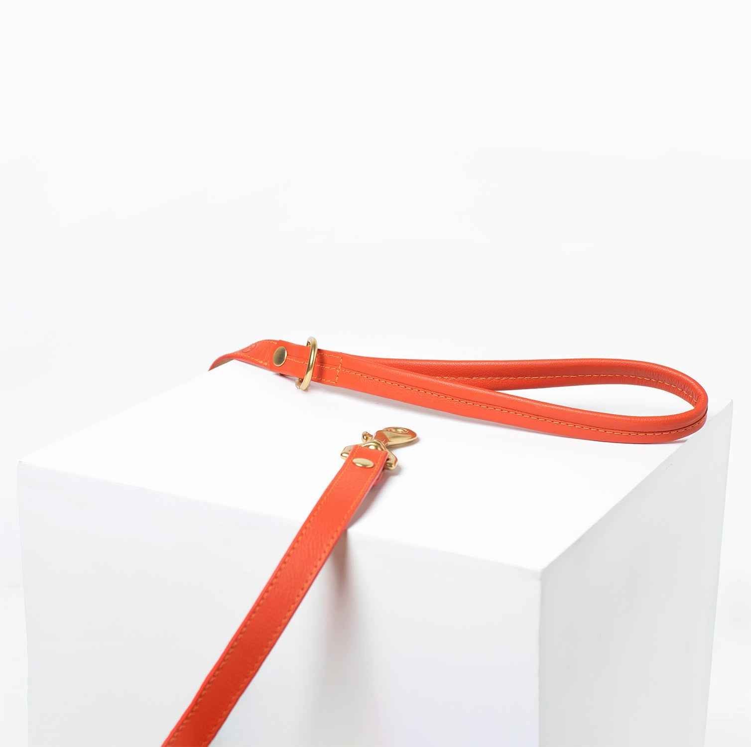 Sunset Leash Leather Orange