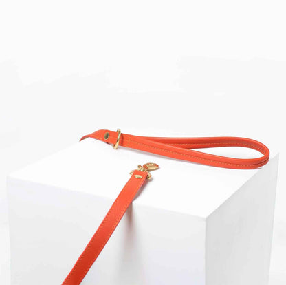 Sunset Leash Leather Orange
