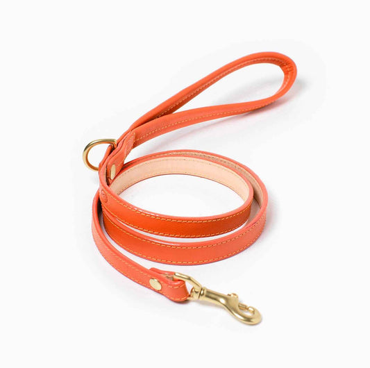 Sunset Leash Leather Orange