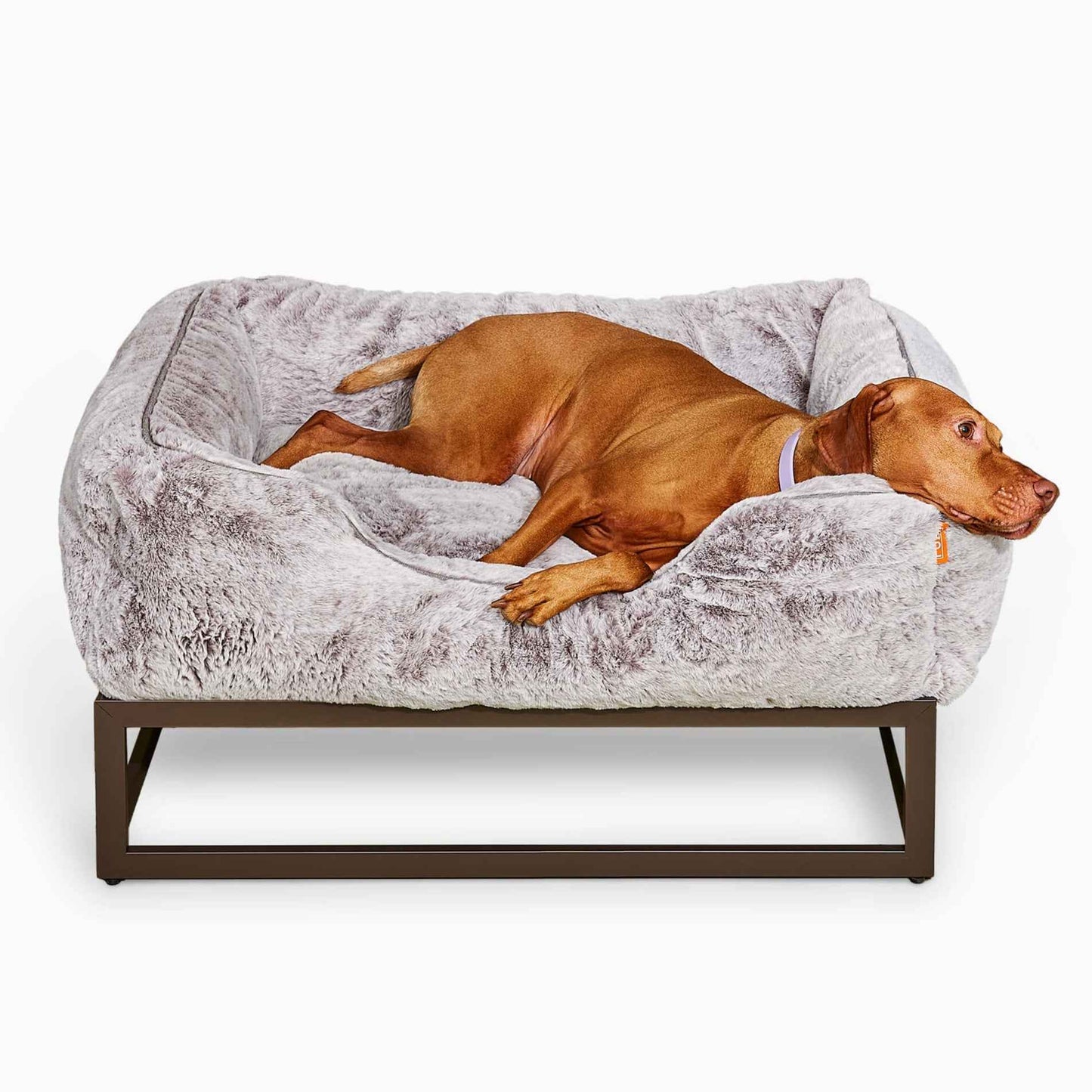 The FÜZI Dog Bed in gray on top of frame with brown dog on white background