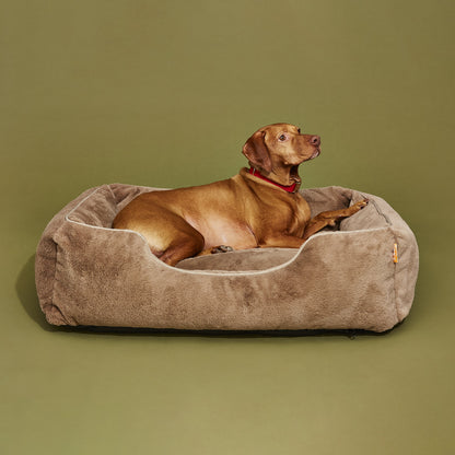 Dog lying on a brown pet bed against a green background