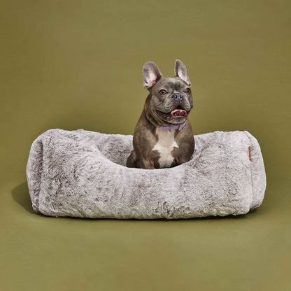 The Sammy Dog Bed with brown dog on green background
