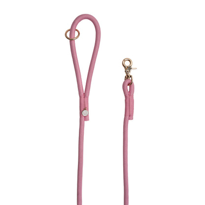 Pink dog leash with gold hardware on a white background
