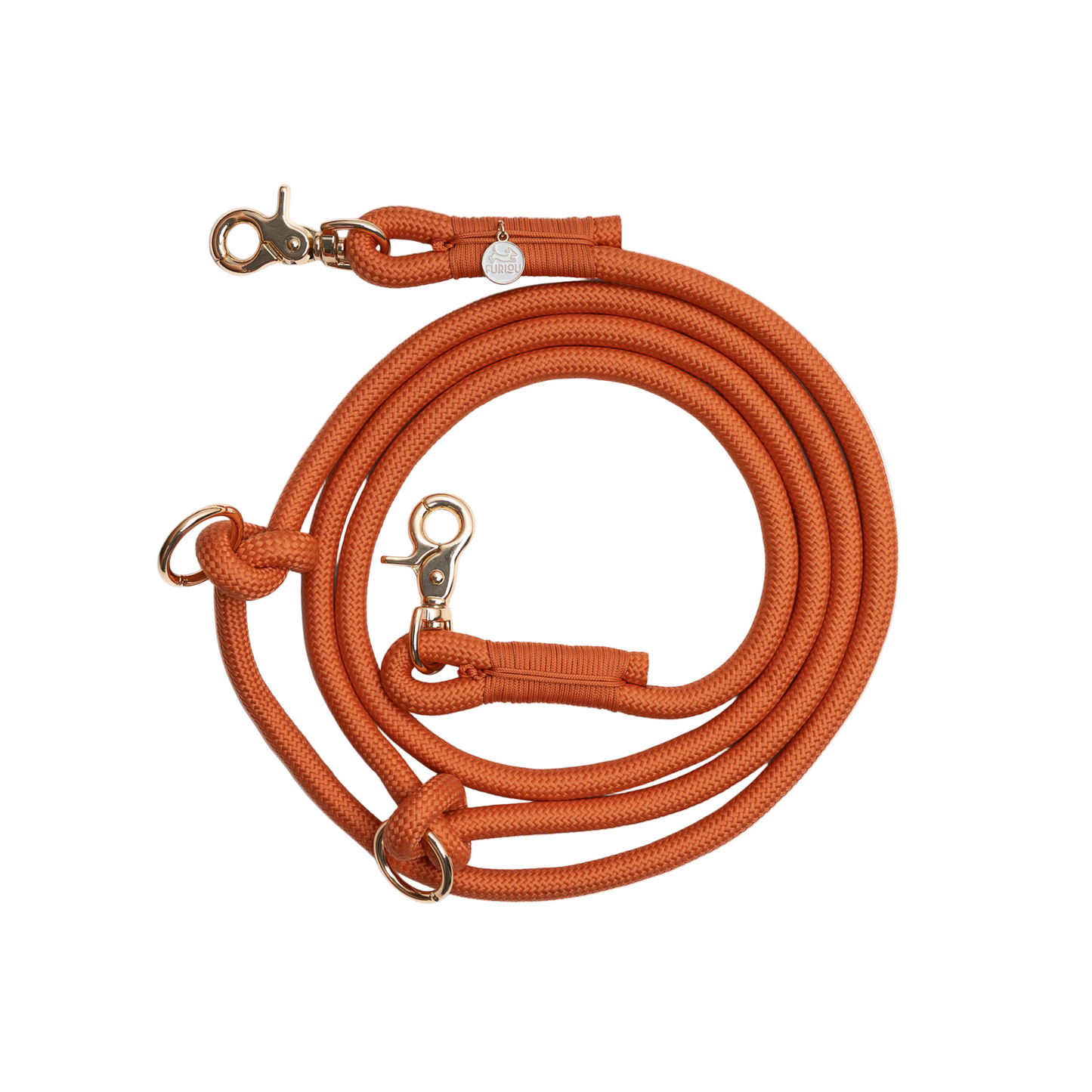 Orange dog leash with metal clips on a white background