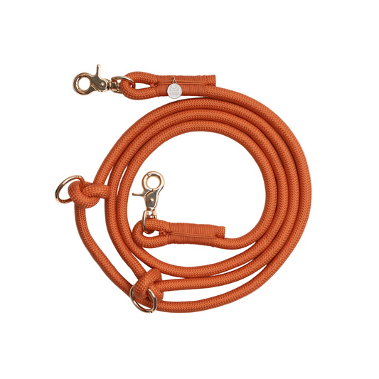 Orange dog leash with metal clips on a white background