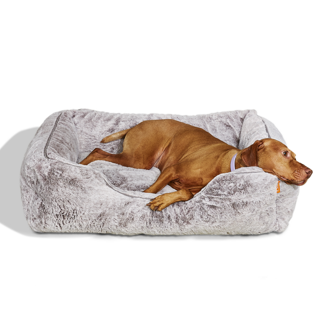 The Sammy Dog Bed with brown dog