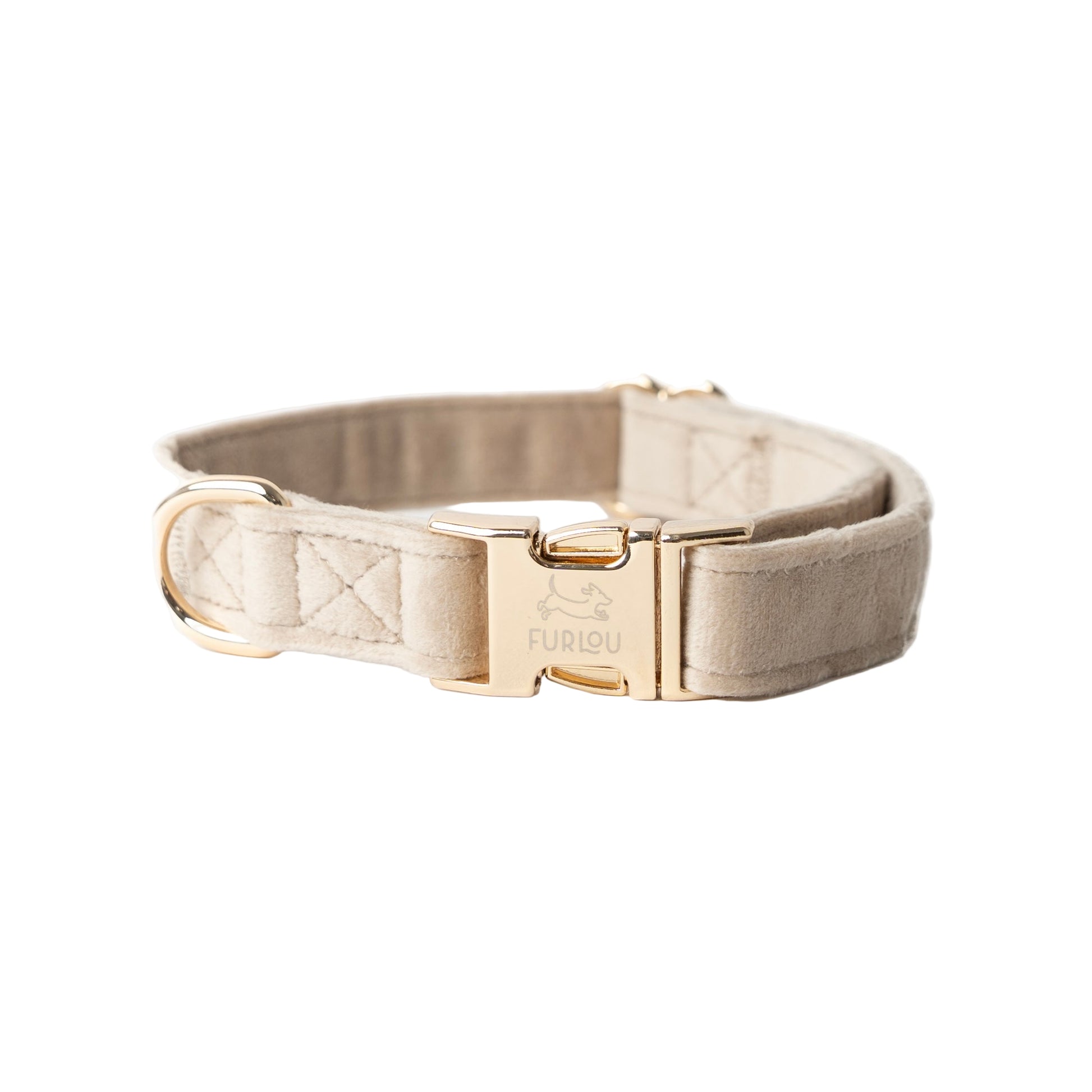 Beige dog collar with gold hardware on a white background