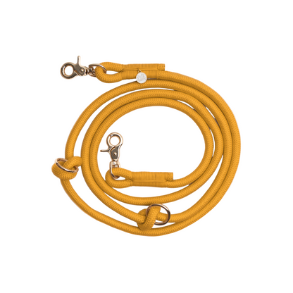 Yellow dog leash with gold hardware on a white background