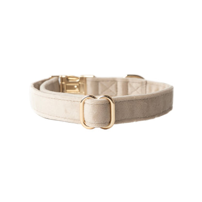 Beige dog collar with gold buckle on a white background