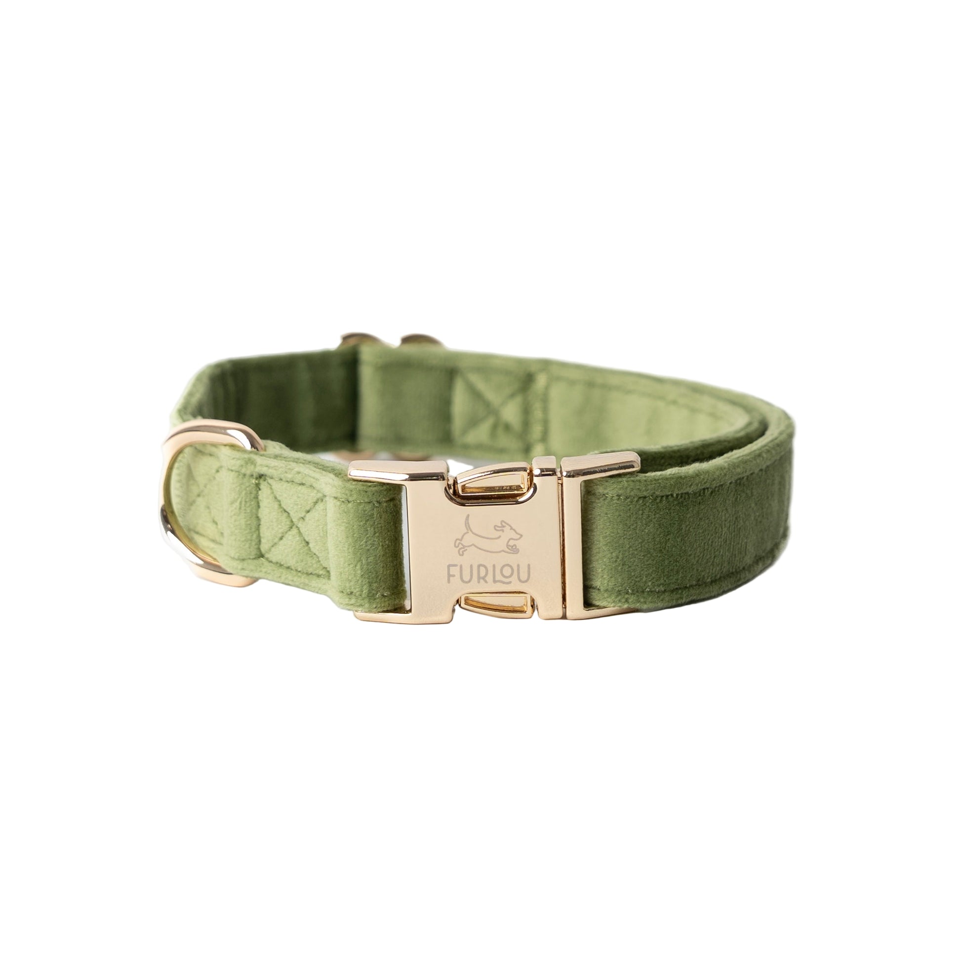 Green dog collar with gold buckle on a white background