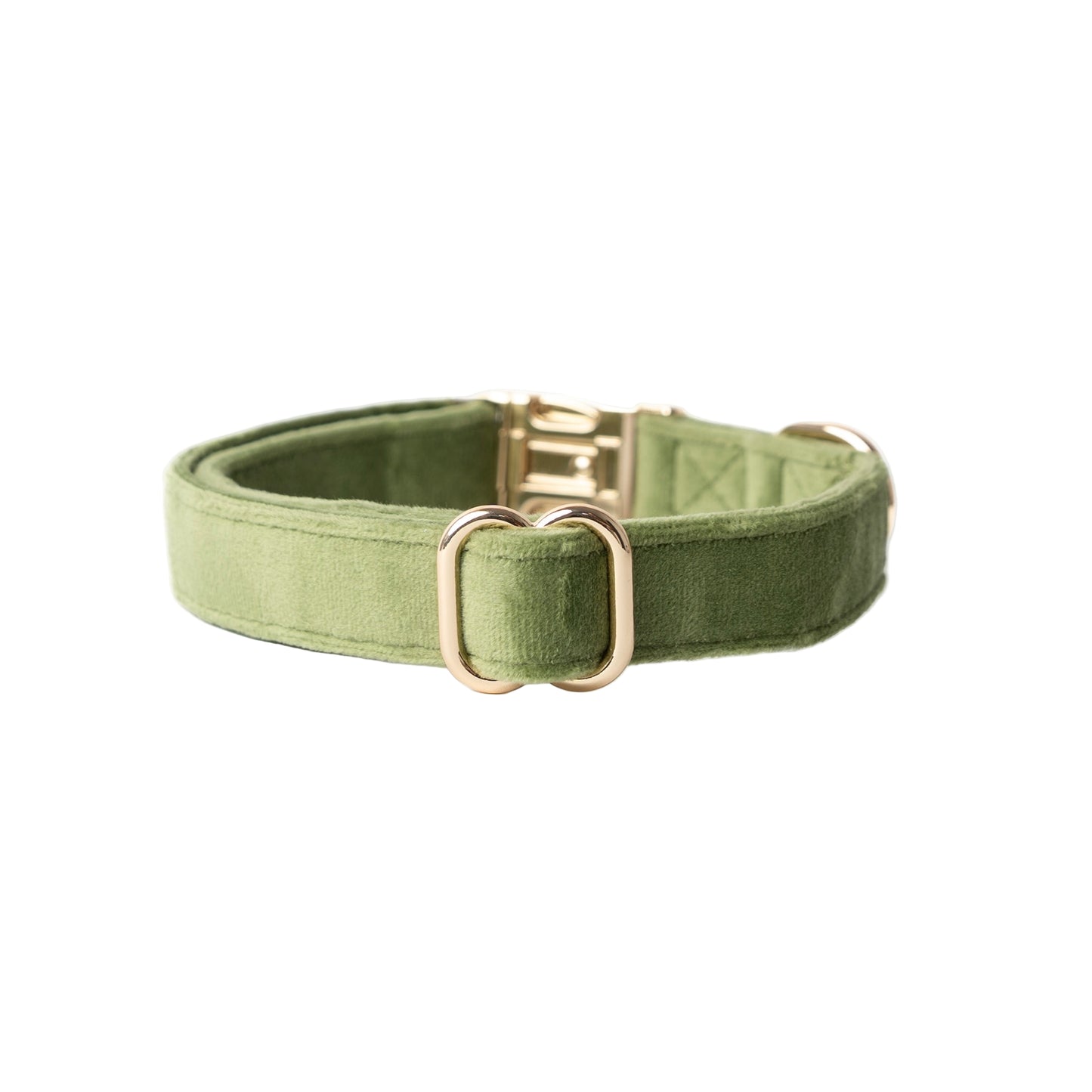 Green dog collar with a gold buckle on a white background
