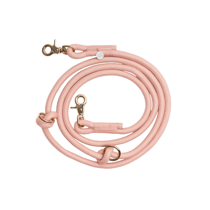 Pink dog leash with gold clasp on a white background