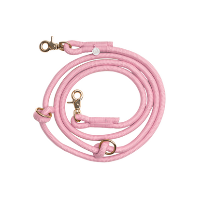 Pink dog leash with gold hardware on a white background