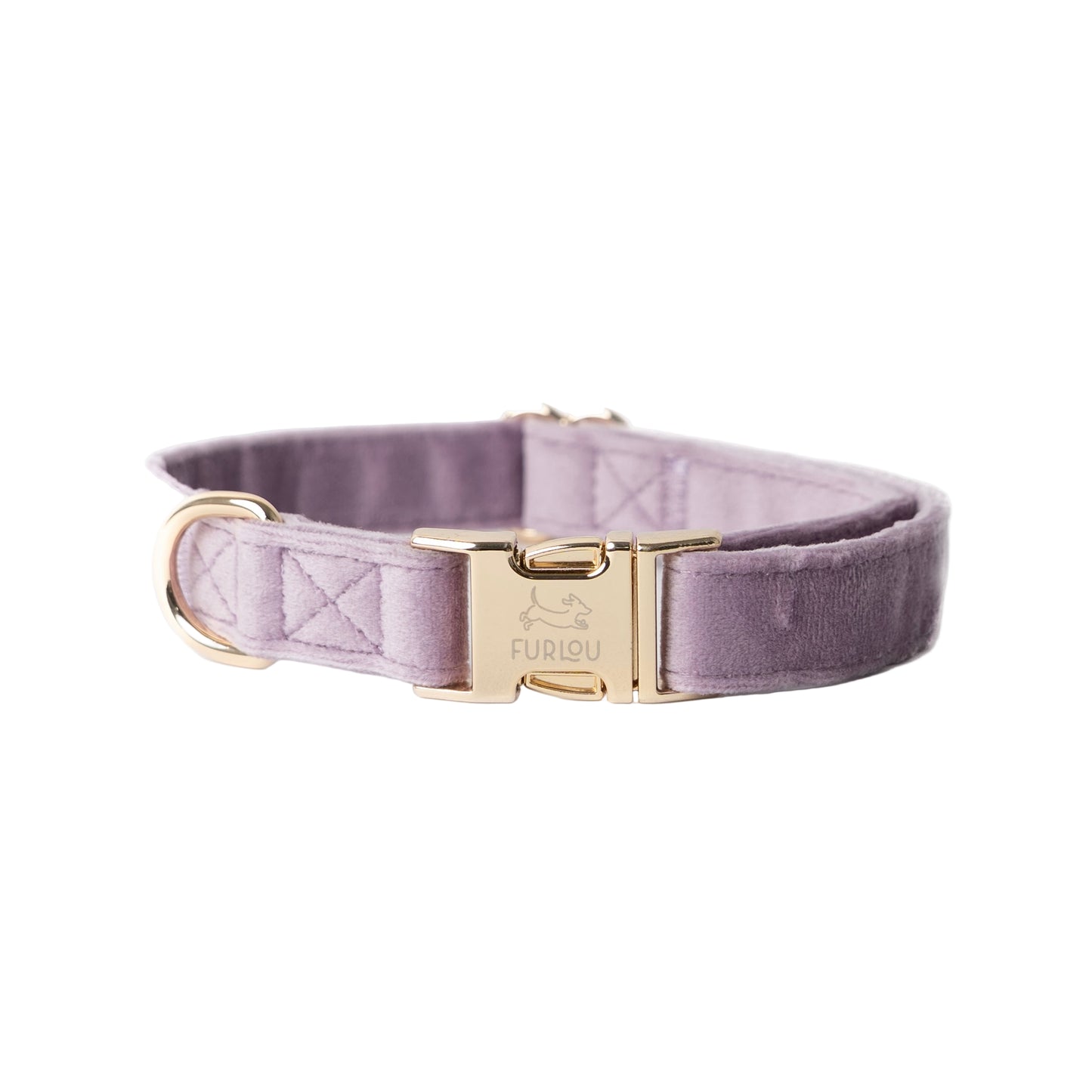 Purple velvet dog collar with gold buckle on a white background
