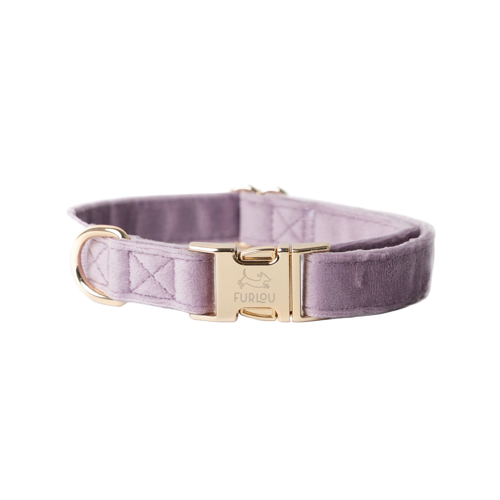 Purple velvet dog collar with gold buckle on a white background