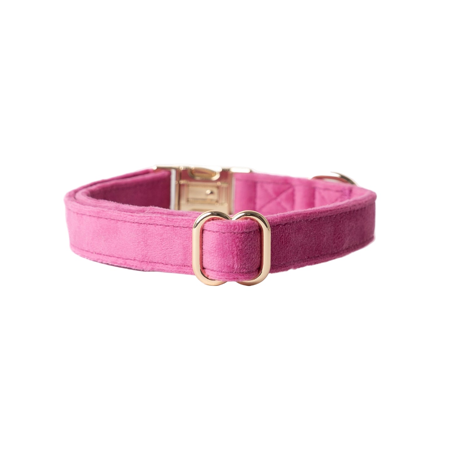 Pink dog collar with gold buckle on a white background