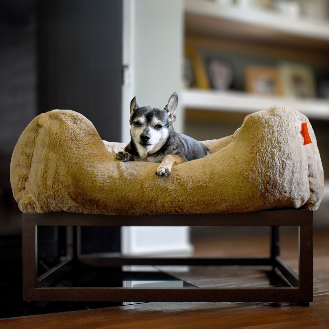 Dog lying on a fluffy pet bed in a home setting