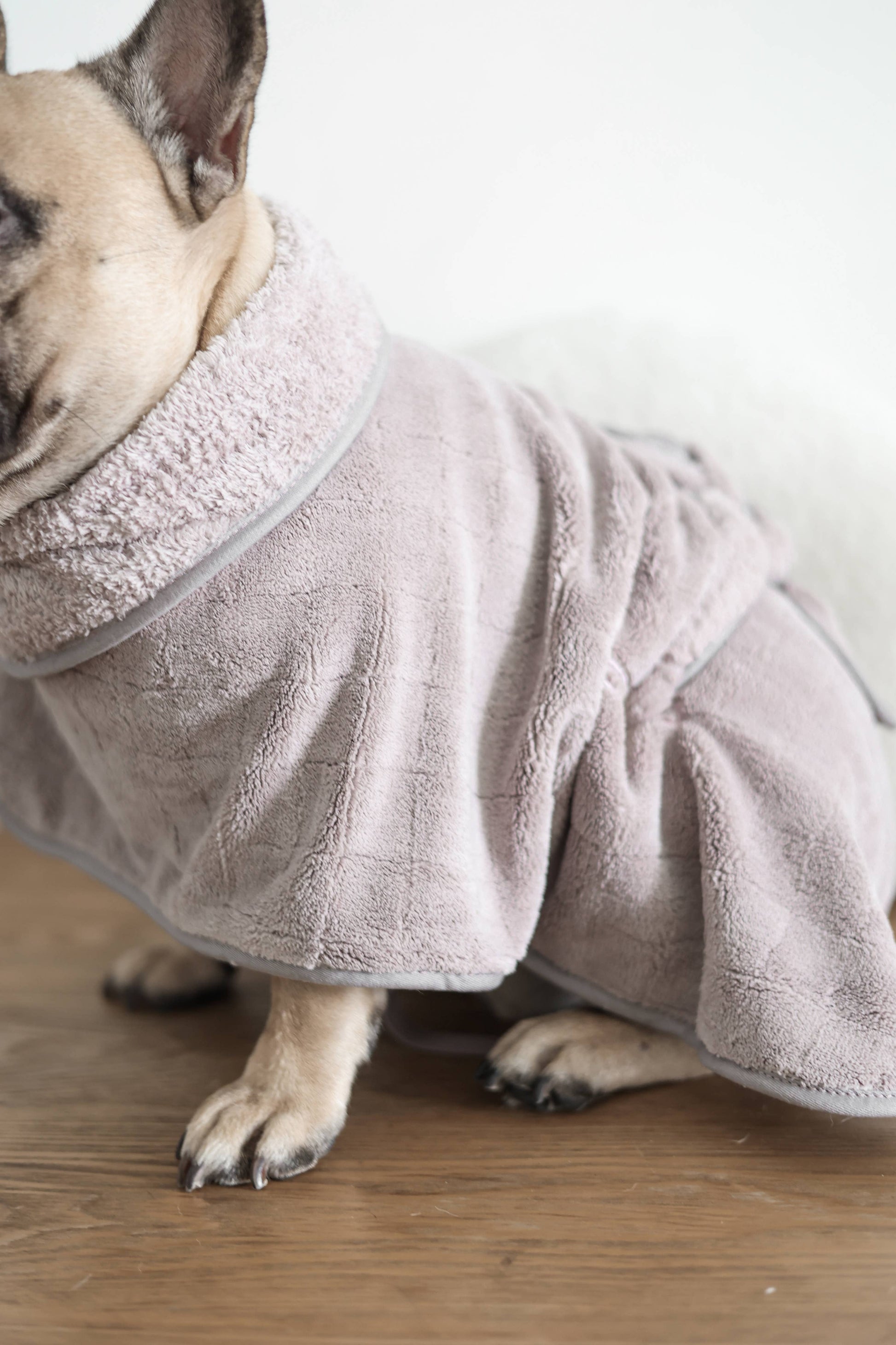 Dog wrapped in a pink bathrobe on a wooden floor