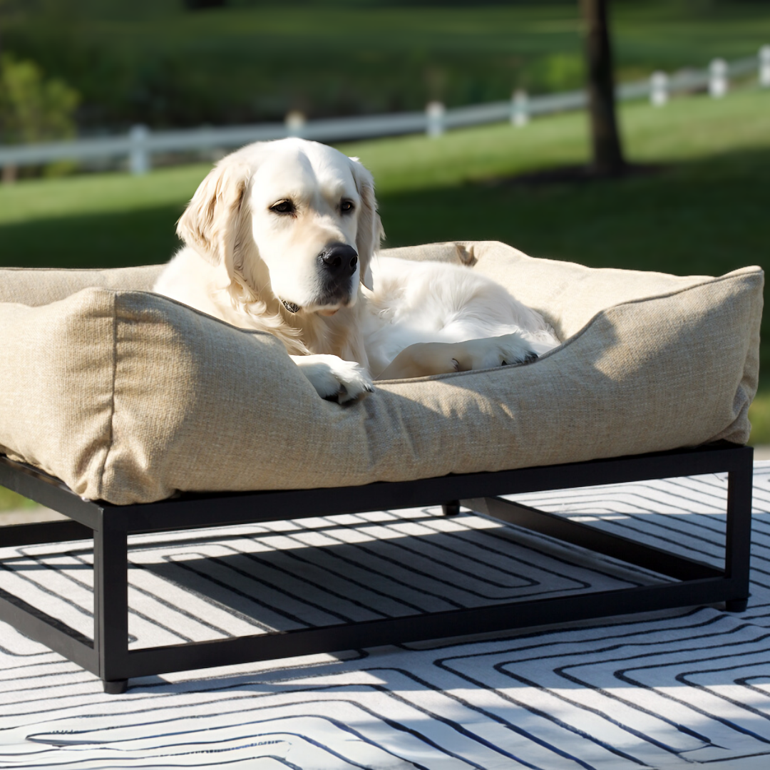 Dog lying on a large beige pet bed outdoors