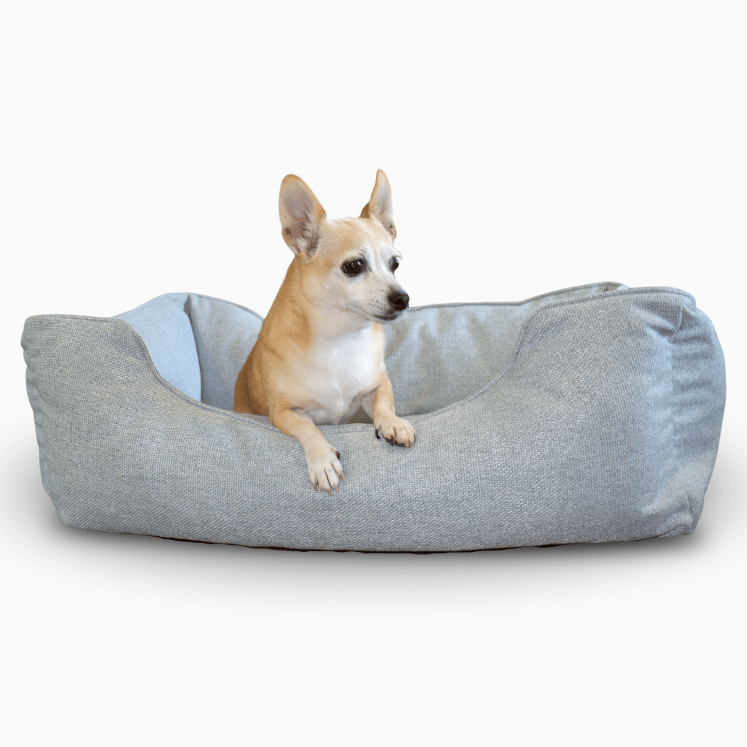 The Sammy Dog Bed in Sky Blue with small dog on white background