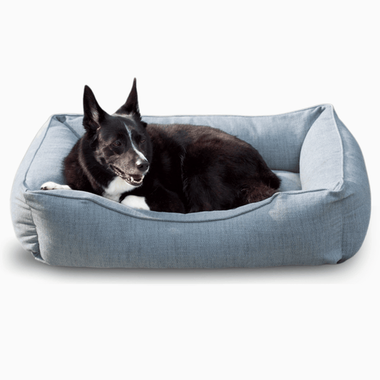 Dog lying on a blue pet bed against a white background