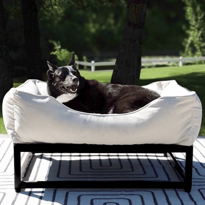 Dog lying on a white pet bed with a black frame against a white background
