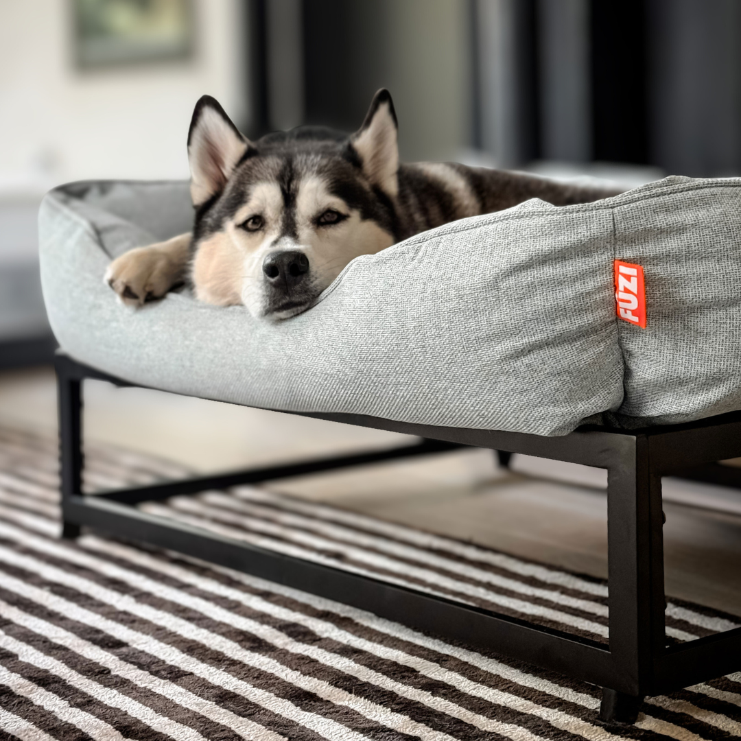 Dog lying on a gray pet bed with a FUZI logo in a home setting