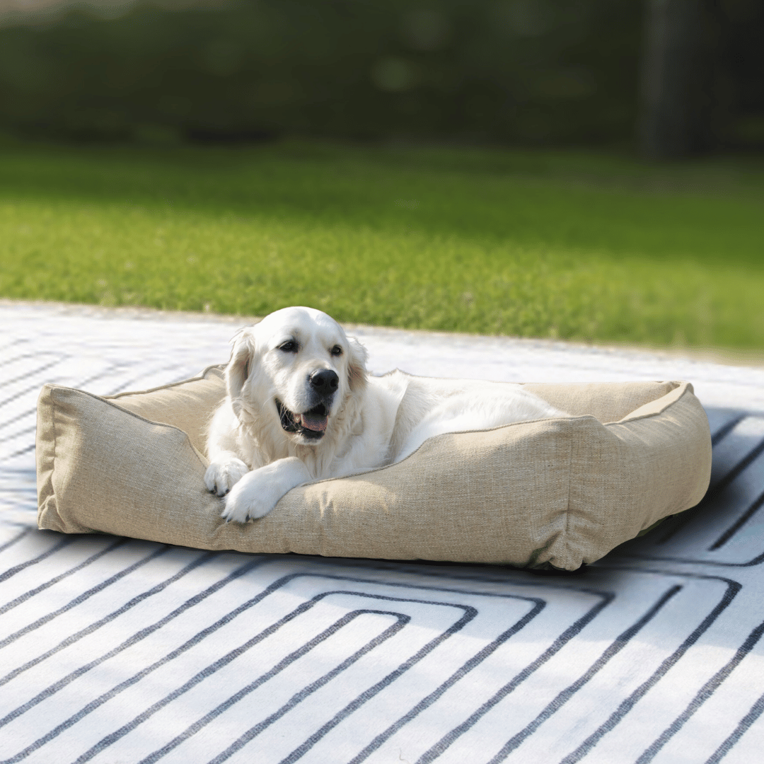 The Sammy Dog Bed in light brown with white dog outdoors
