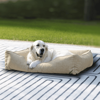 The Sammy Dog Bed in light brown with white dog outdoors