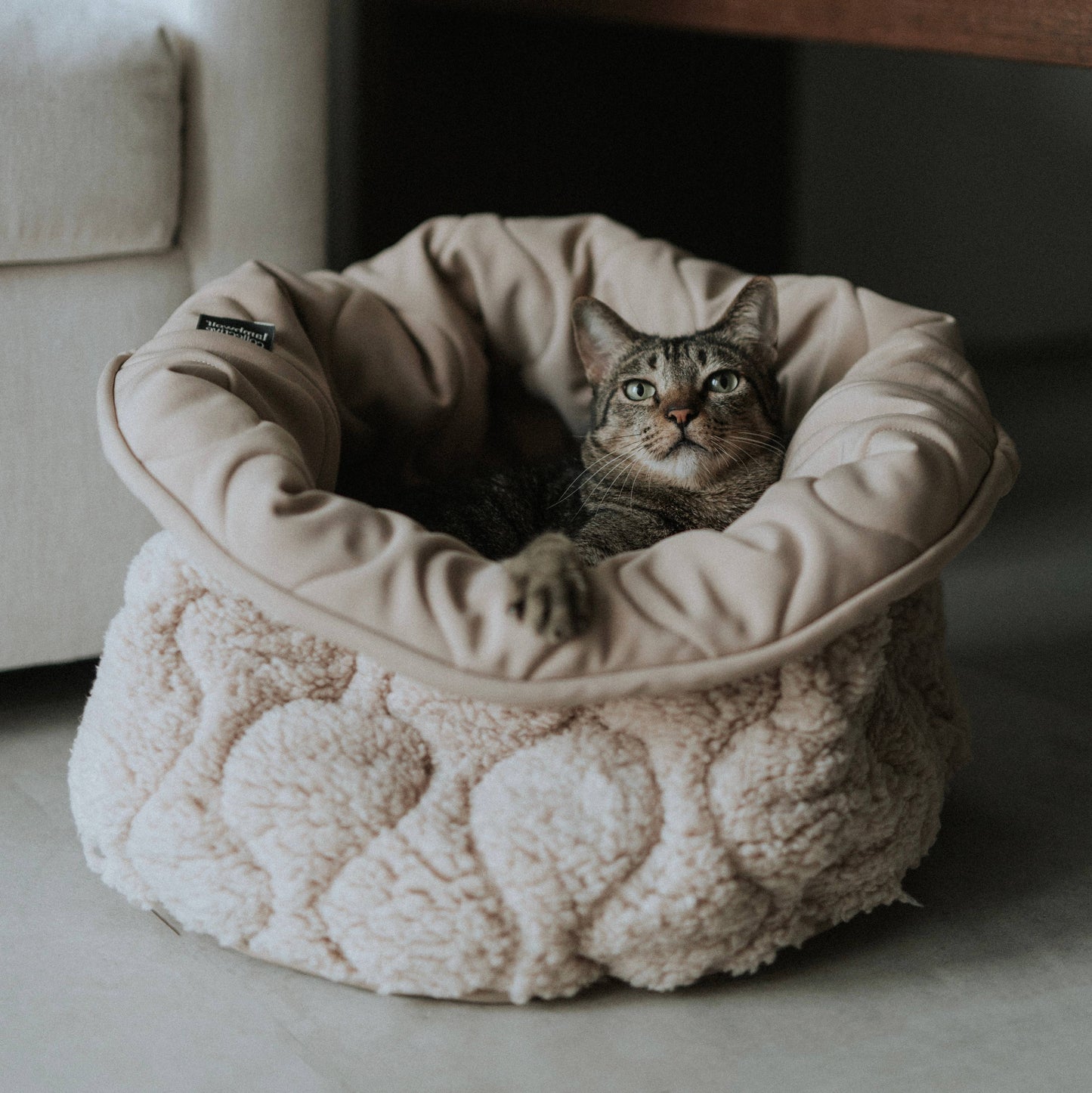 Taart Small Breed Dog Bed in Plum, Fern, & Camel