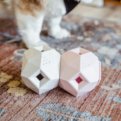 Two geometric-shaped pet toys on a textured carpet with a blurred cat in the background.