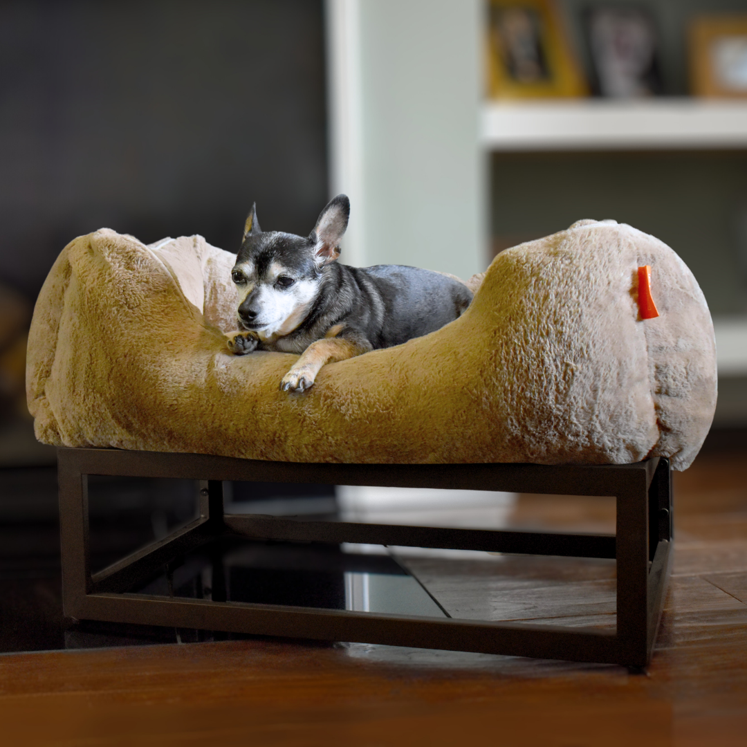 Dog lying on a fluffy pet bed in a home setting
