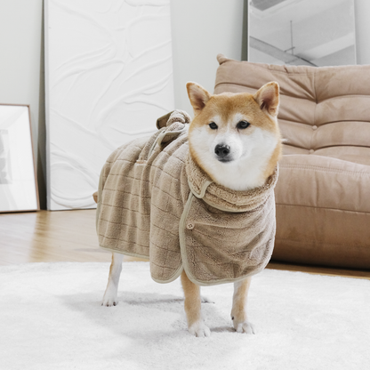 Dog wearing a beige robe standing on a white rug with a neutral-colored couch in the background.