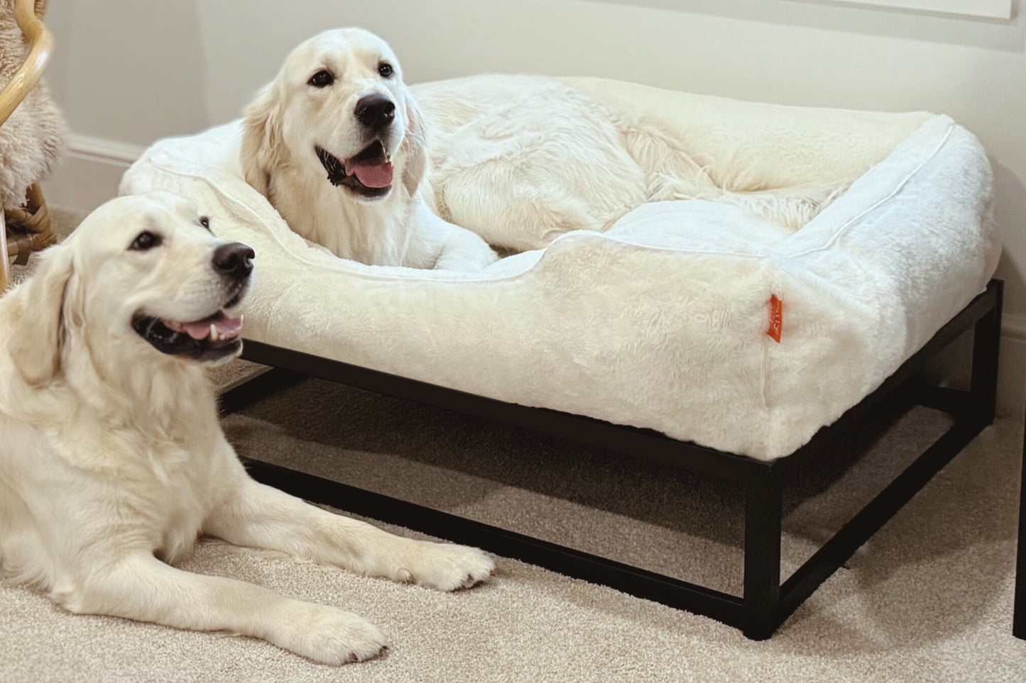 Two dogs on a large fluffy pet bed in a home setting