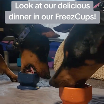 Two dogs eating from FreezCups with text overlay.