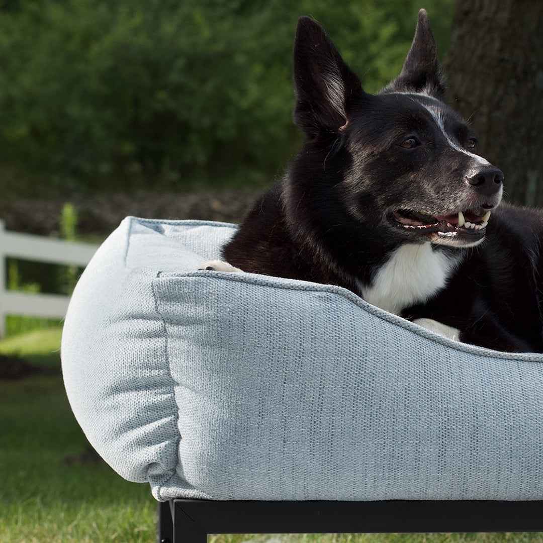 The FÜZI Dog Bed