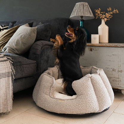 Dog playing with a fluffy pet bed in a cozy living room.