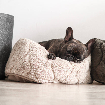 Taart Small Breed Dog Bed in Plum, Fern, & Camel
