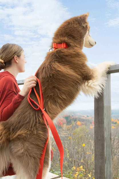 Scarlet Peaks Waterproof Leash