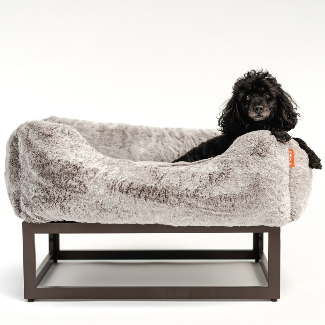 The FÜZI Dog Bed in gray on top of frame with small black dog on white background