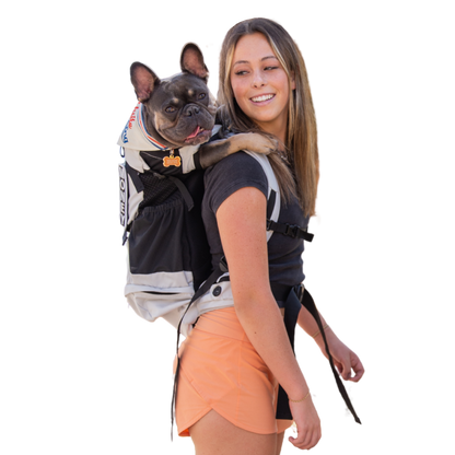 Woman carrying a small dog in a backpack on a white background