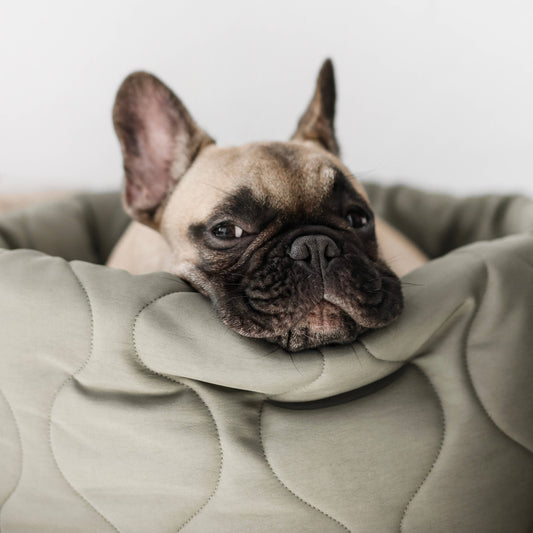 Taart Small Breed Dog Bed in Plum, Fern, & Camel